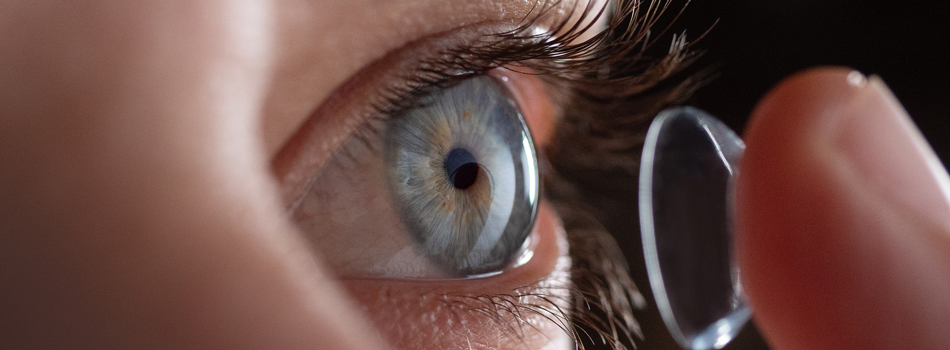 Eye Surgeon near 29801